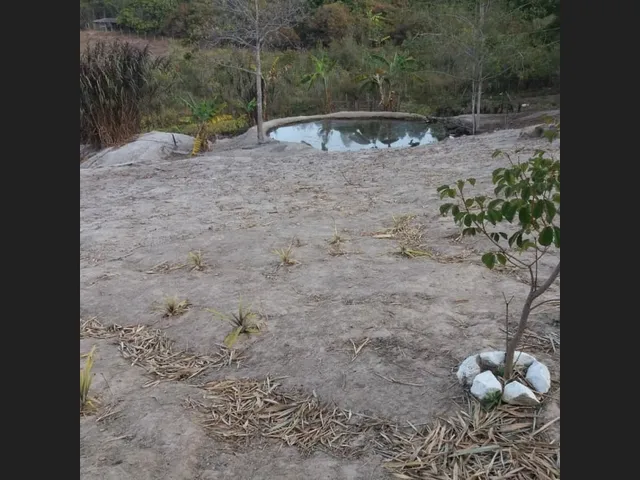 Imagem 5: Sitio de 32 Mil Mt em Passa Tempo