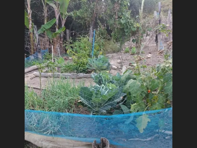 Imagem 2: Sitio de 32 Mil Mt em Passa Tempo