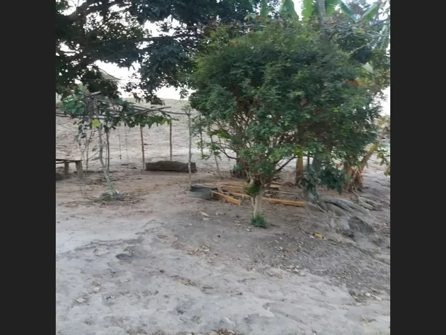 Imagem 3: Sitio de 32 Mil Mt em Passa Tempo