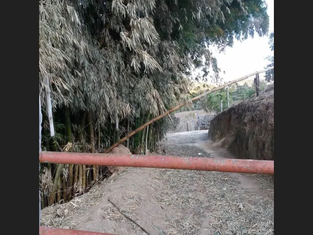 Imagem 10: Sitio de 32 Mil Mt em Passa Tempo