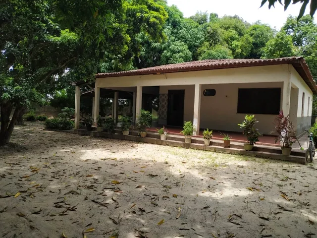 Imagem 5: Sítio em Jangurussu, Messejana