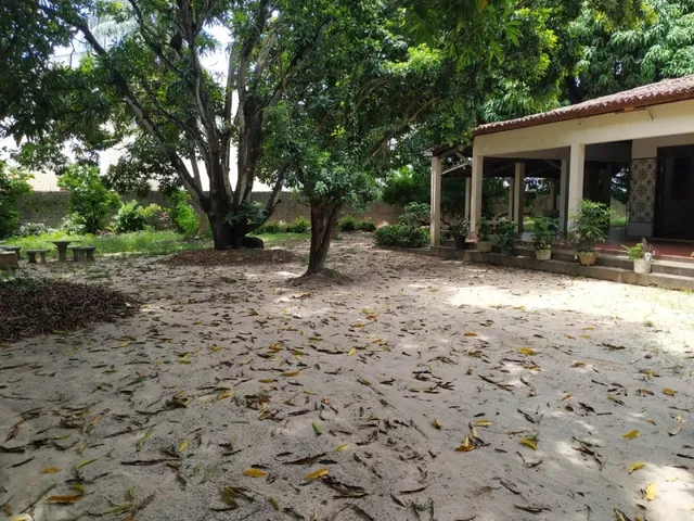 Imagem 14: Sítio em Jangurussu, Messejana