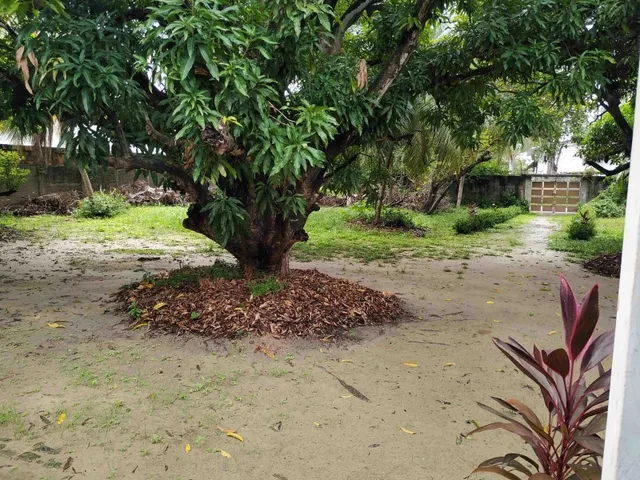 Imagem 2: Sítio em Jangurussu, Messejana