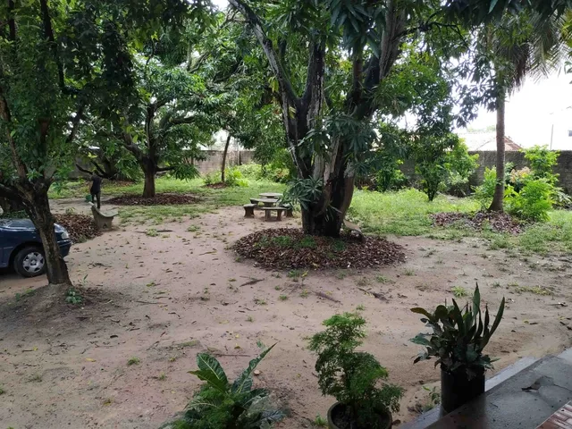 Imagem 12: Sítio em Jangurussu, Messejana