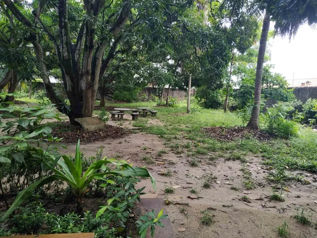 Imagem 10: Sítio em Jangurussu, Messejana