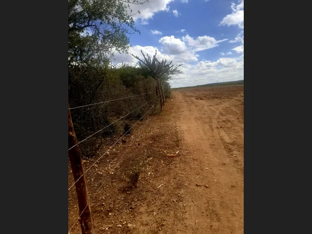 Imagem 2: Vende-Se Propriedade Rural em Microregião de Jacobina