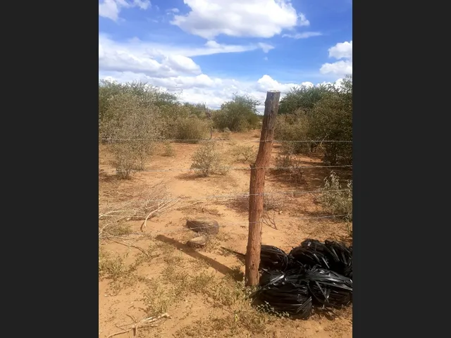 Imagem 3: Vende-Se Propriedade Rural em Microregião de Jacobina