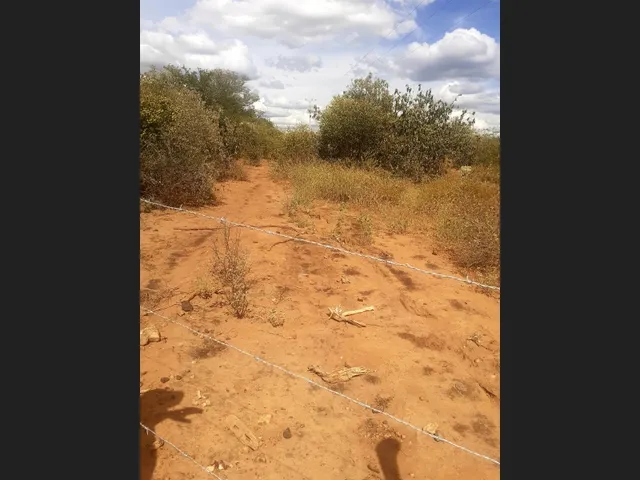 Imagem 4: Vende-Se Propriedade Rural em Microregião de Jacobina