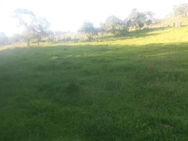 Imagem: Fazenda de 22 Ha em Carmopolis de Minas