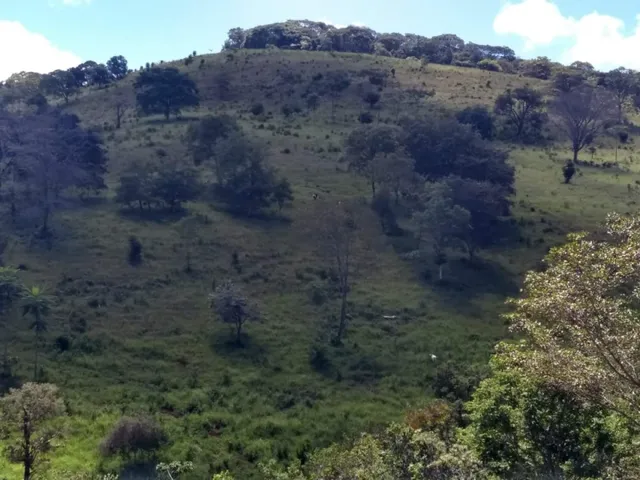 Imagem: Fazenda Dd 24 Ha em Itaguara