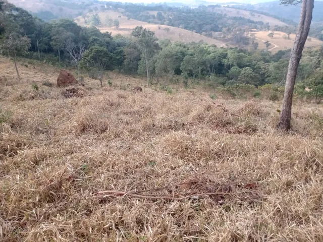 Imagem: Terreno 10 Ha em Claudio