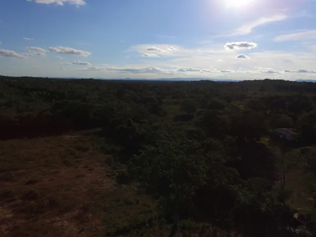 Imagem 3: Fazenda com 656 Hectares, Toda Documentada Boa Logística 99 Km de Cuiabá Mt