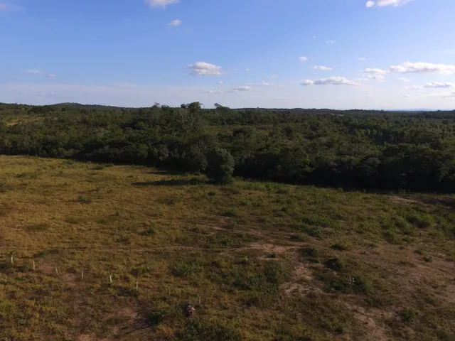 Imagem 8: Fazenda com 656 Hectares, Toda Documentada Boa Logística 99 Km de Cuiabá Mt