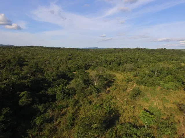 Imagem 2: Fazenda com 656 Hectares, Toda Documentada Boa Logística 99 Km de Cuiabá Mt
