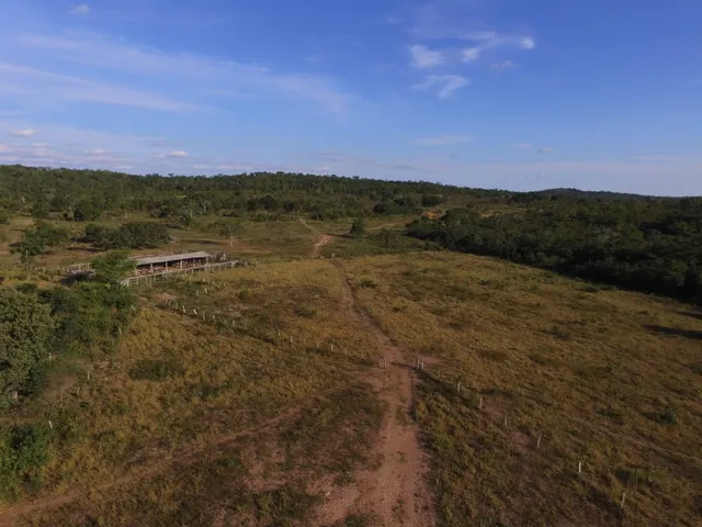 Imagem 11: Fazenda com 656 Hectares, Toda Documentada Boa Logística 99 Km de Cuiabá Mt