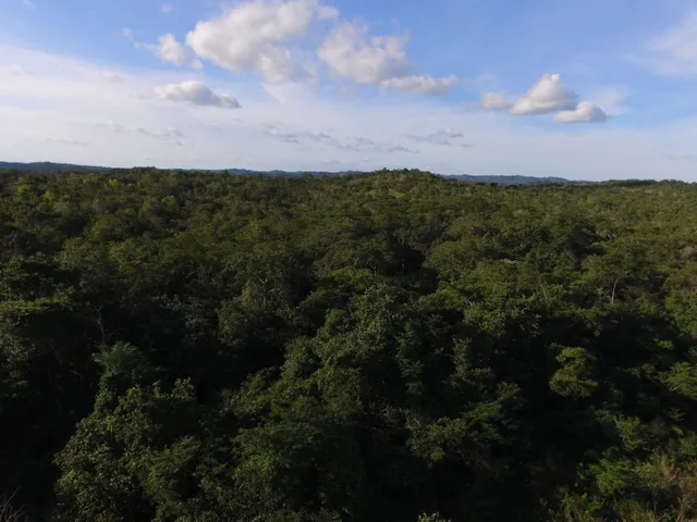 Imagem 4: Fazenda com 656 Hectares, Toda Documentada Boa Logística 99 Km de Cuiabá Mt