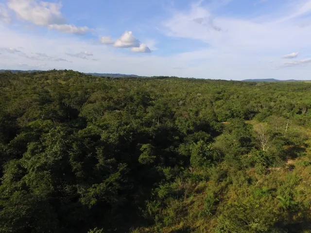 Imagem 9: Fazenda com 656 Hectares, Toda Documentada Boa Logística 99 Km de Cuiabá Mt