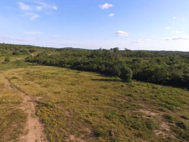 Imagem 5: Fazenda com 656 Hectares, Toda Documentada Boa Logística 99 Km de Cuiabá Mt