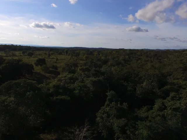Imagem 6: Fazenda com 656 Hectares, Toda Documentada Boa Logística 99 Km de Cuiabá Mt