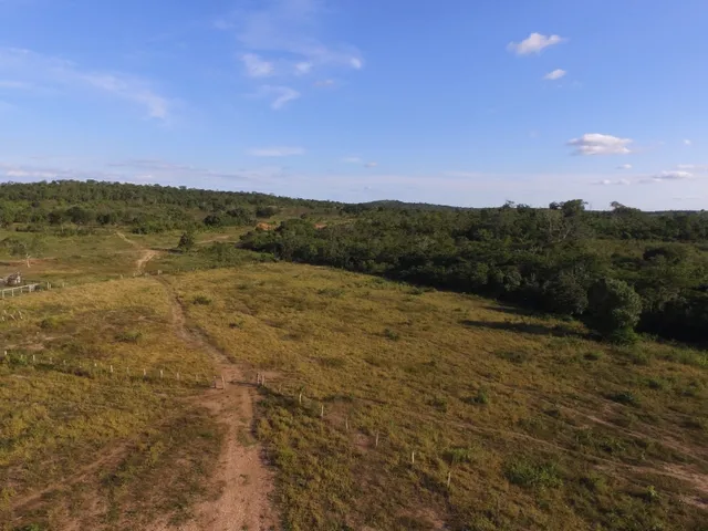 Imagem 7: Fazenda com 656 Hectares, Toda Documentada Boa Logística 99 Km de Cuiabá Mt
