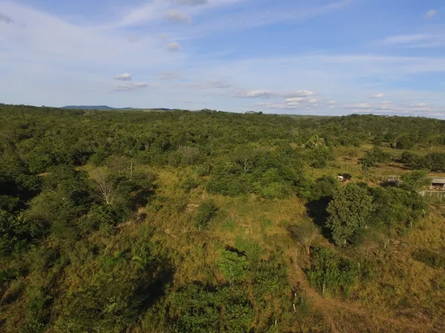 Imagem 10: Fazenda com 656 Hectares, Toda Documentada Boa Logística 99 Km de Cuiabá Mt