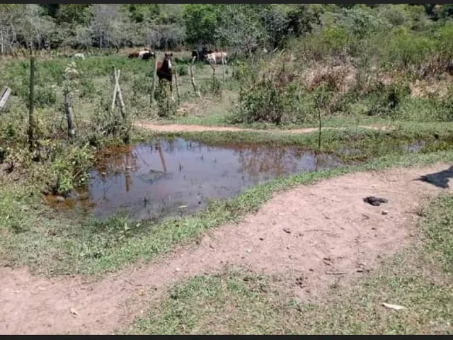 Imagem: Fazenda de 70 Ha em Carmopolis de Minas