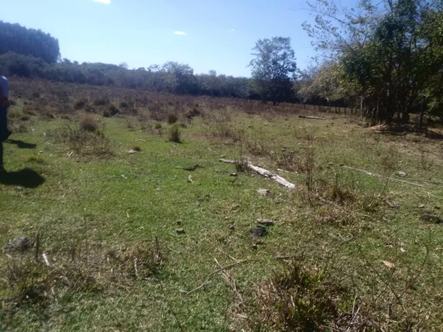 Imagem 8: Fazendinha de 15 Ha em Carmopolis de Minas
