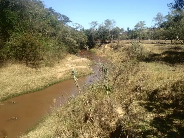 Imagem 3: Fazendinha de 15 Ha em Carmopolis de Minas