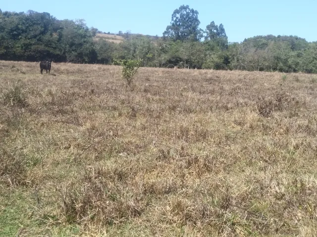 Imagem 4: Fazendinha de 15 Ha em Carmopolis de Minas