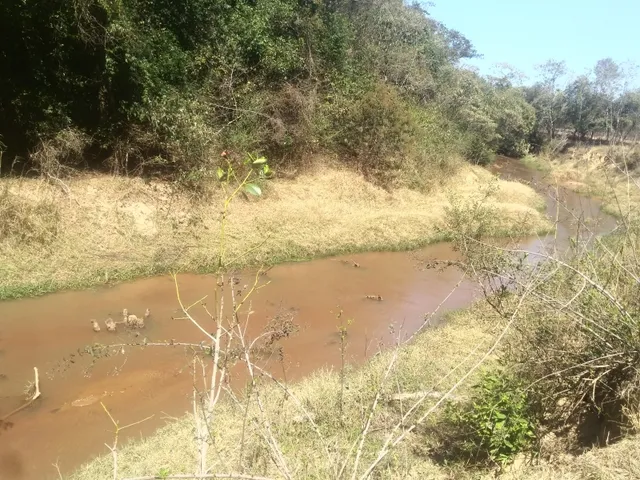Imagem 5: Fazendinha de 15 Ha em Carmopolis de Minas