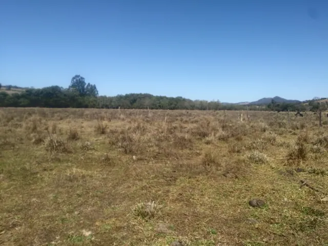 Imagem 7: Fazendinha de 15 Ha em Carmopolis de Minas