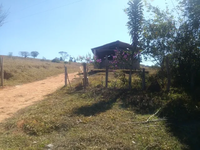 Imagem 6: Fazendinha de 15 Ha em Carmopolis de Minas