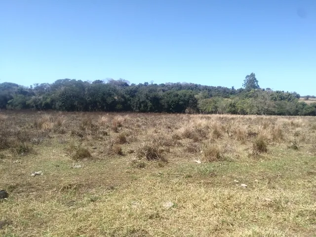 Imagem 9: Fazendinha de 15 Ha em Carmopolis de Minas