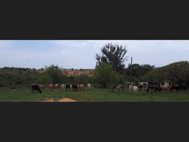 Imagem: Fazenda de 332 Ha em Curvelo
