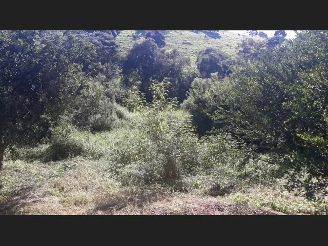 Imagem 5: Casa na Roça para Vender