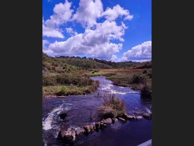 Imagem: Fazenda Cachoeira Boa Sorte