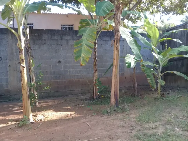 Imagem: Vendo Um Lote, Castelo Branco, Cariacica