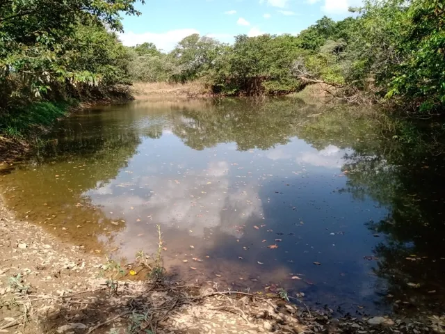 Imagem: Fazenda de 14 Ha em Itaguara no Rio Para