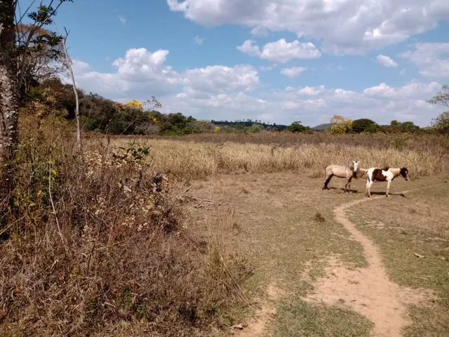 Imagem 6: Fazenda de 14 Ha em Itaguara no Rio Para
