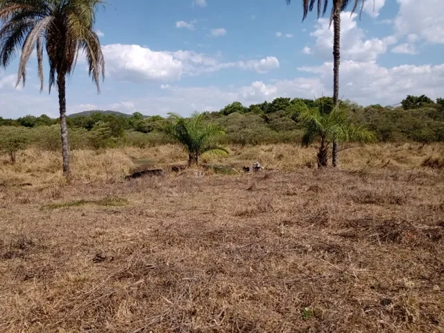 Imagem 4: Fazenda de 14 Ha em Itaguara no Rio Para