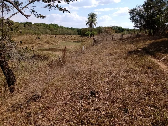 Imagem 3: Fazenda de 14 Ha em Itaguara no Rio Para