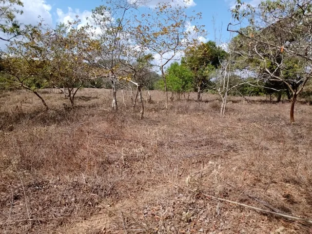 Imagem 5: Fazenda de 14 Ha em Itaguara no Rio Para