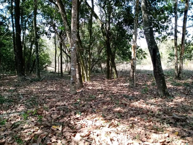 Imagem 2: Fazenda de 14 Ha em Itaguara no Rio Para
