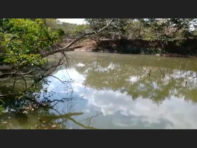 Imagem 7: Fazenda de 14 Ha em Itaguara no Rio Para