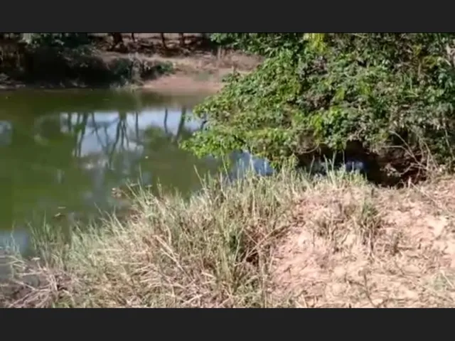 Imagem 10: Fazenda de 14 Ha em Itaguara no Rio Para