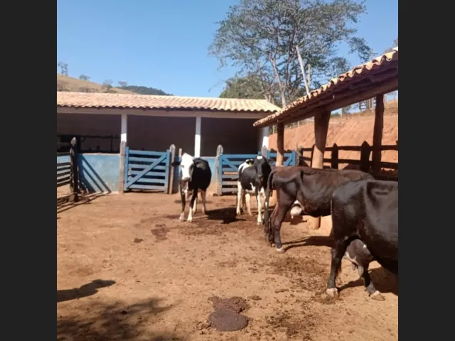 Imagem: Fazenda de 24 Ha em Claudio