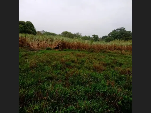 Imagem: Fazenda de 25 Ha em Itaguara