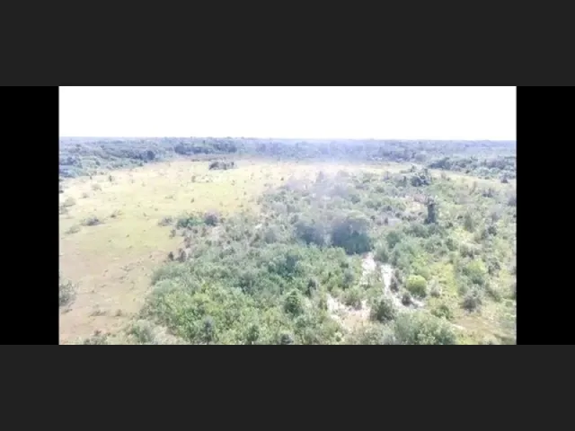 Imagem: Fazenda com 112,5 Hectares em Colares 80