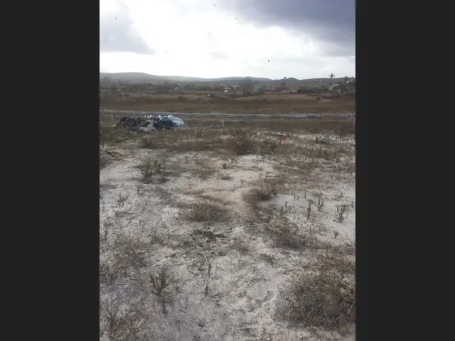 Imagem 6: Terreno Urbano em Simão Dias, Sergipe