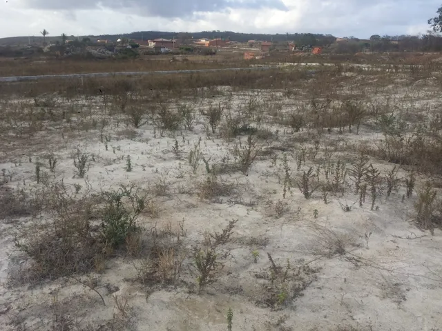Imagem 4: Terreno Urbano em Simão Dias, Sergipe